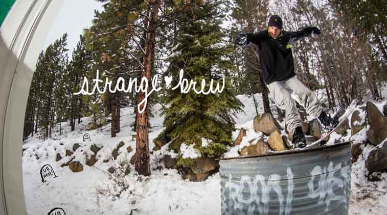 STRANGE BREW 16 – FLOWERPETALS