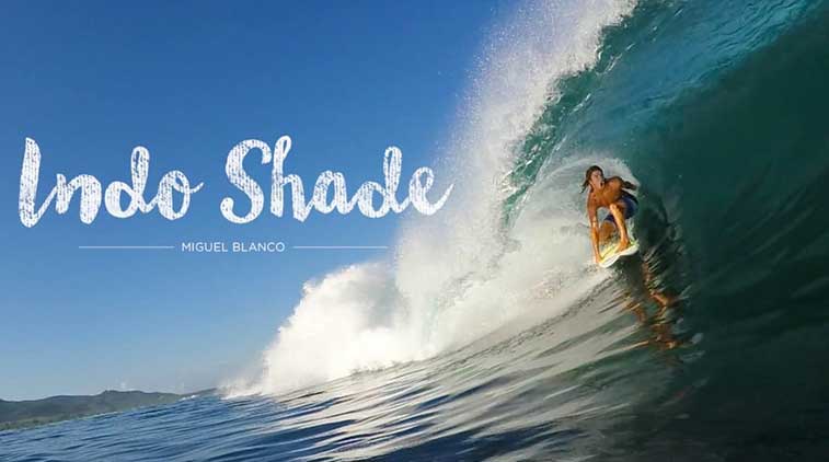 MIGUEL BLANCO – INDO SHADE