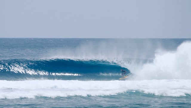 INSTA BARRELS