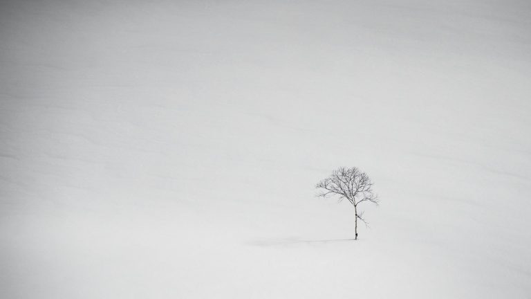 SHIRO – TEASER – DE BARCELONA A JAPÓN EN BUSCA DE NIEVE POLVO PERFECTA