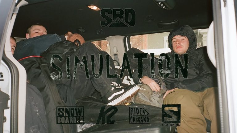 simulation