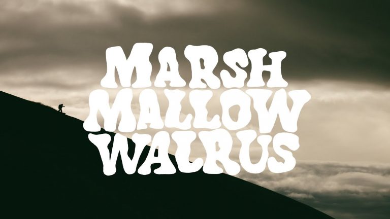 Marshmallows Walrus