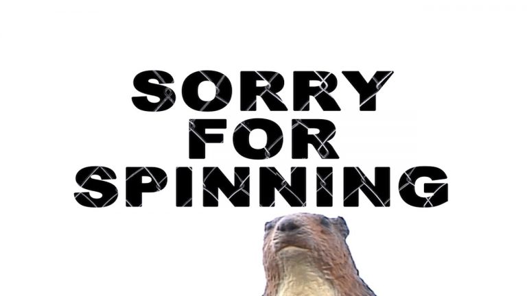 SORRY FOR SPINNING – FROM THE TRUNK