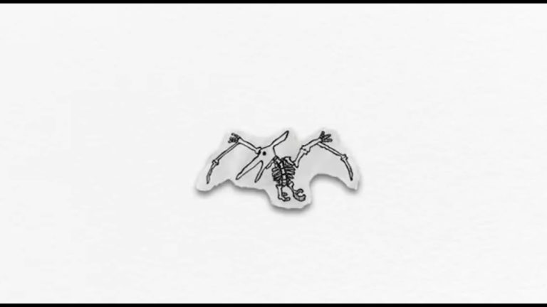 Airblaster In Syracuse